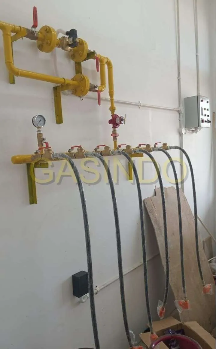 Instalasi Gas Pusat PT. Pangan Boga Makmur - 2