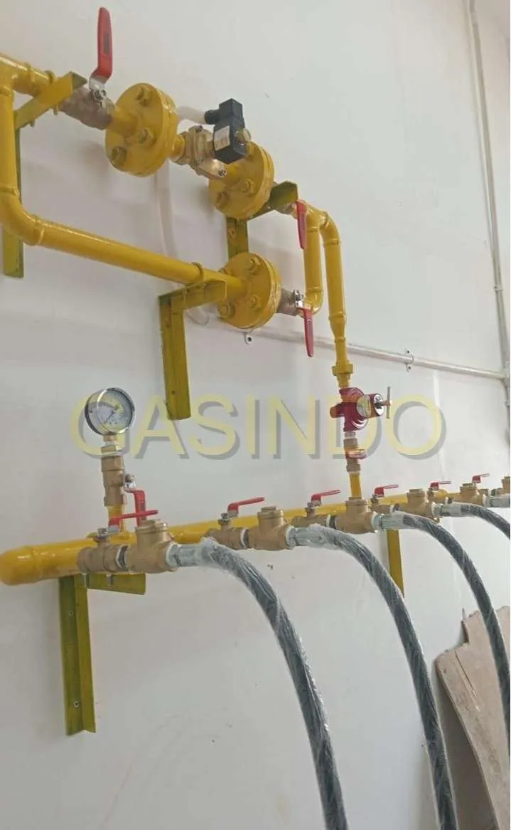 Instalasi Gas Pusat PT. Pangan Boga Makmur - 4